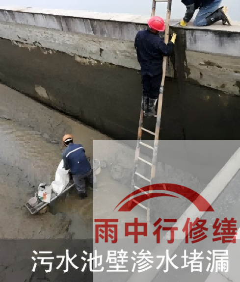 汕头2026年防水龙头半月两次涨价，行业格局重塑信号